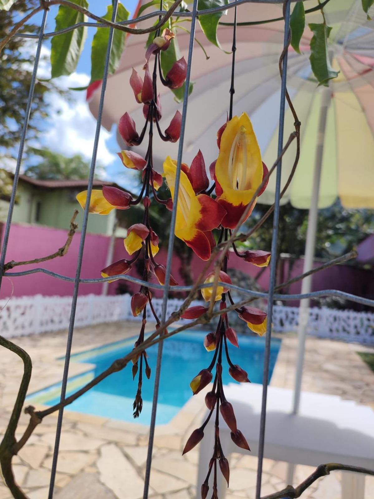 Pousada Nova Primavera Ubatuba Exterior photo