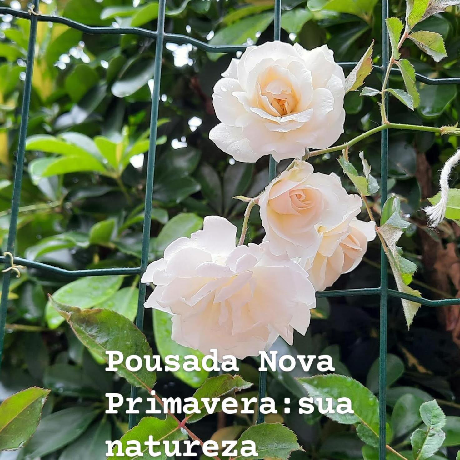 Pousada Nova Primavera Ubatuba Exterior photo